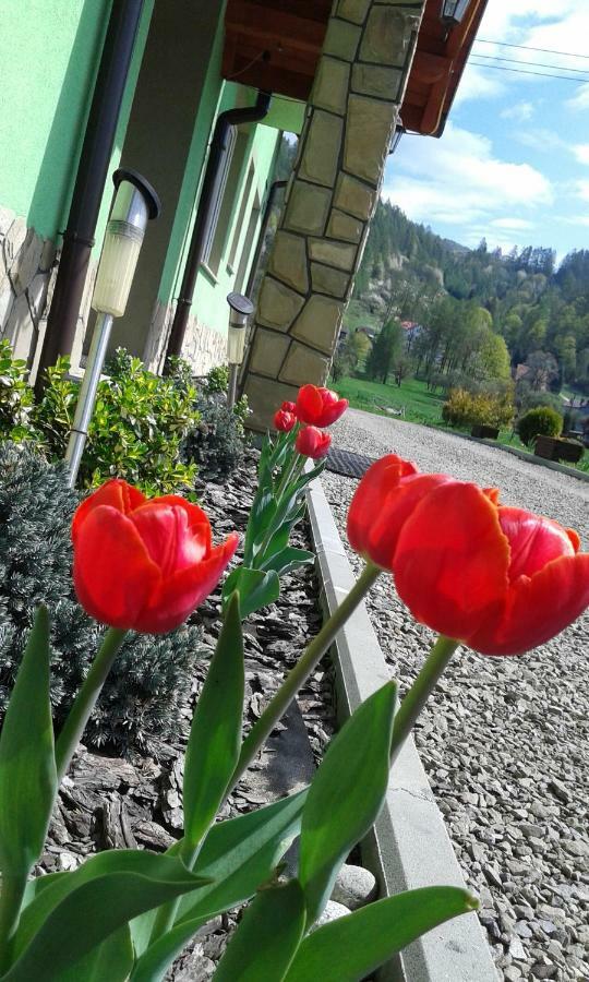 Zielone Zacisze Otel Krościenko Dış mekan fotoğraf